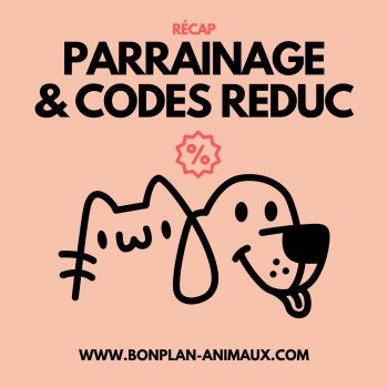 Liens de parrainage chat / chien par ordre alphabétique