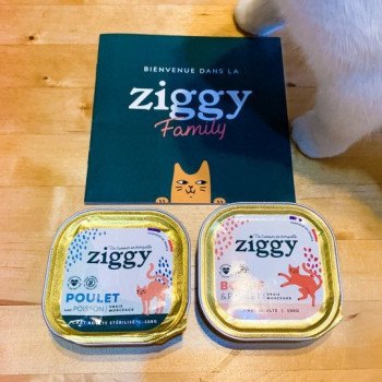Ziggy pâtée pour chat made in France, avis